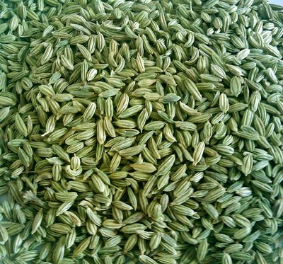 Constipation, gas, bloating, flatulence, acid reflux, abdominal pains? This ancient herb remedy may be what your body needs. Fennel seeds play an important role in Ayurvedic medicine with various health benefits. According to Ayurveda, body consists of 3 doshas,Vatta (space and air), Pitta (fire and water) and Kapha (water and earth) in varying degrees.The one that dominates your body is your dosha. Consuming fennel seeds in ... Medicinal Remedies, Water And Earth, Dried Lemon, Fire And Water, Ayurvedic Medicine, Cleaners Homemade, Diy Health, Abdominal Pain, Fennel Seeds