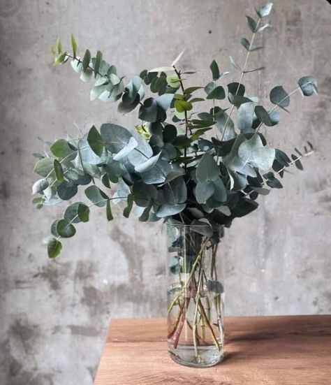 Dining Table Plant Centerpiece, Greenery In Vase, Greenery Bouquet, Clear Vase, Flower Vase Arrangements, Faux Flower Arrangements, Flower Arrangements Simple, Bathroom Plants, בר מצווה