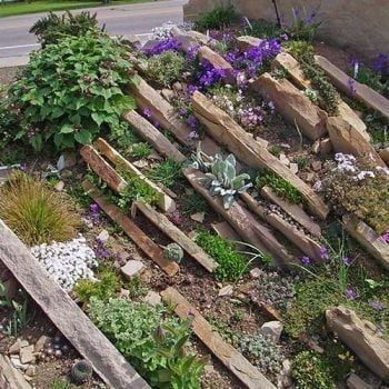 Crevice Garden, Rockery Garden, Slate Garden, Alpine Garden, Rock Garden Design, Gravel Garden, Rock Garden Landscaping, Garden Landscape Design, J S