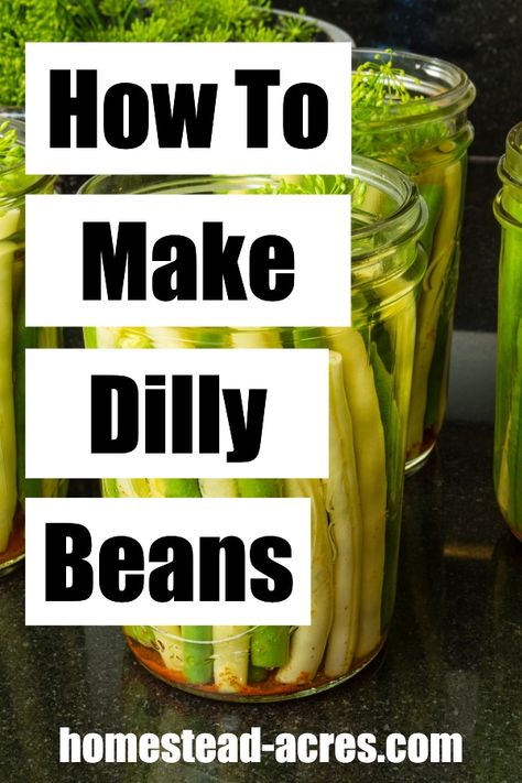 Make homemade dilly beans! This is a great way to use up green and yellow beans when they are in season. Enjoy these unique pickles all year long with this quick and easy canning recipe. #canning #foodpreservation #homesteadacres Unique Pickles, Pickled Dilly Beans, Yellow Beans Recipe, Pickles Homemade Easy, Pickled Beans, Homemade Refrigerator Pickles, Pickled Things, Pickled Corn, Yellow Wax Beans