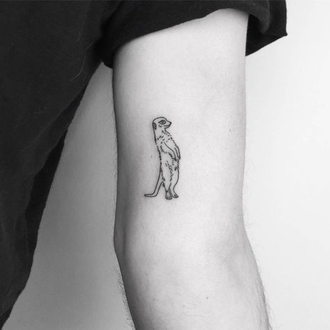 Meerkat Tattoo, Shaka Tattoo, Cute Meerkat, Small Animal Tattoos, Ultra Minimalist, Sloth Tattoo, Cute Animal Tattoos, Basic Tattoos, Tattoos Mandala