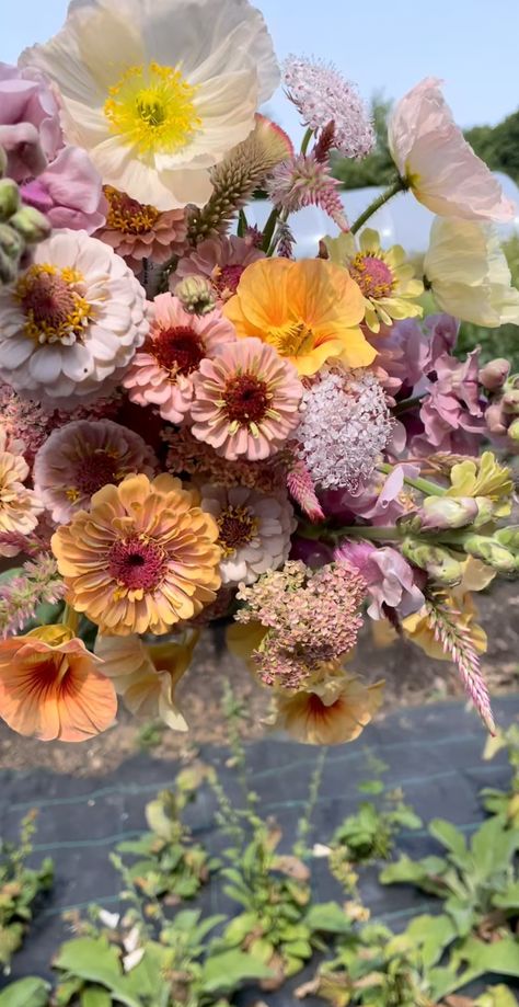 Market Bouquets, Wildflower Wedding Theme, Bouquet Inspiration, Cut Flower Garden, Nothing But Flowers, Bouquet Arrangements, Little Flowers, Flower Farm, Flower Market