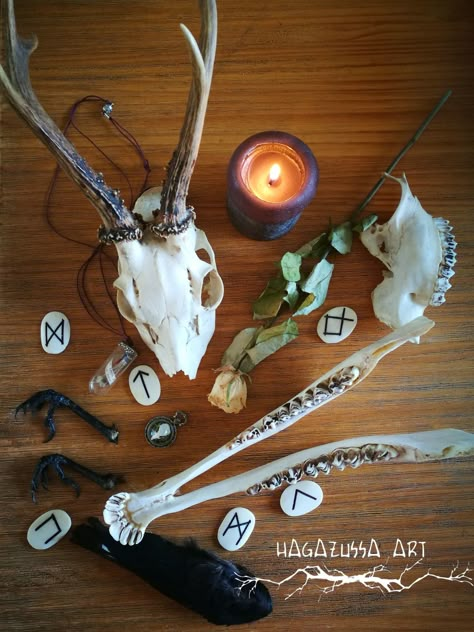 A frequently ask question is "Why do you work with skulls, bones, crow feet, magpie wings, feathers and other animal parts?  Is it not eery and spooky?"  No, not at all, animal bones are used in witchcraft and folk magic since the beginning of magick in the Neolithic age.  Read the complete blogpost on my website!  #folkmagic #folkmagick #witch #bonemagic #familiar #witchcraft #animalmagic #animalspirits  #witchaesthetics #witchythings Bone Magic, Bones Witchcraft, Bone Magick Witchcraft, Bones In Witchcraft, Bone Divination, Folk Magic Witchcraft, Where To Find Animal Bones, Sheep Skull, Witch Tools