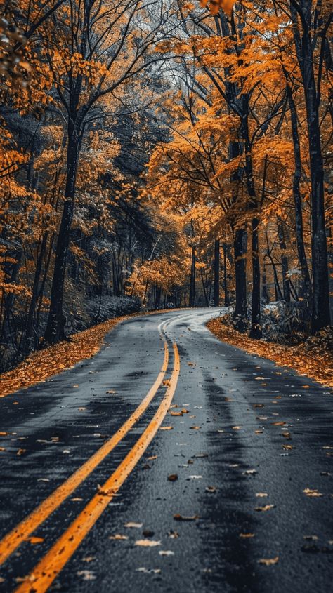 40+ Stunning And Dreamy Fall Phone Wallpapers Hd Fall Wallpaper, Fall Wallpapers Aesthetic, Wallpaper Iphone Fall, Free Fall Wallpaper, Fall Autumn Aesthetic, Themed Wallpapers, September Wallpaper, Autumn Phone Wallpaper, November Wallpaper