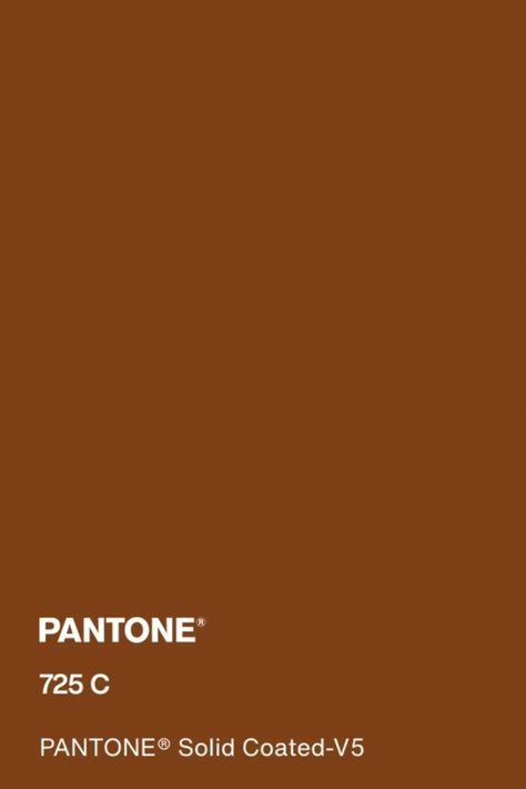 #pantone #pantone725c #brown #color Orange Color Pantone, Pantone Colors Brown, Brown Pantone Color, Pantone Brown, Pantone Solid Coated, Brown Pantone, Dark Burnt Orange, Fashion 2025, Pantone Colors