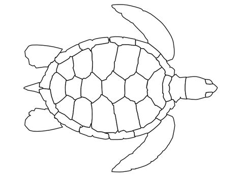 Coloring Page Turtle Turtle Outline, Turtle Coloring, Turtle Images, Turtle Coloring Pages, Turtle Crafts, Small Turtles, Pattern Coloring Pages, Turtle Pattern, Geometric Animals