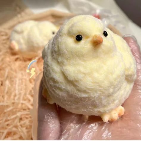 Link in Bio 😎😍😘✅🔗 Handmade Silicone Squishy Big Chicken, Cute Taba Chicks Squeeze Squishy Chicks,Soft Squishy Fidget Toys,Chicken Stress Toy;Original price: PKR 830.87;Now price: PKR 705.40 #toys #momlife #toy #baby #toddler #babyboy #ibraswaystore #gadgetstore #gadgets #viral #viralvideo #ChuChuTV #chuchutv #cocomelon Big Chicken, Biggest Chicken, Chicken Toys, Cat Pad, Board For Kids, Pet Mice, Cute Chickens, Toy Baby, Novelty Toys