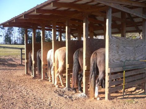 -Pasture Horse Feeding Station Pasture Horse Feeding Station, Horse Feeding Stalls, Horse Hay Feeder Ideas, Horse Feeding Station, Horse Tie Stalls, Horse Pasture Ideas, Horse Feeding, Hay Feeder For Horses, Equine Stables