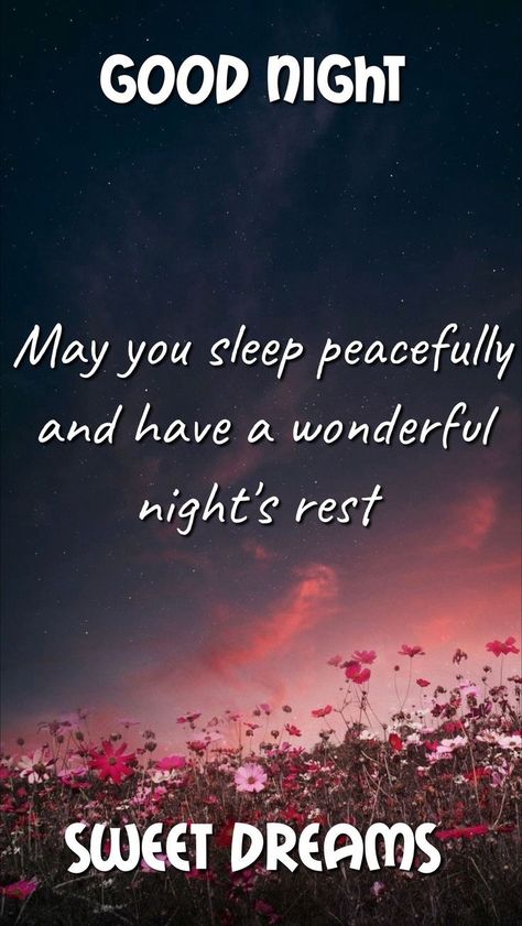 Goodnight Sweet Dreams Quotes, Sweet Dreams Messages, Sweet Dreams Good Night, Have A Wonderful Night, Kisses Quotes, Sweet Dream Quotes, Sweet Dreams Images, Good Night Sleep Well, Goodnight Wishes