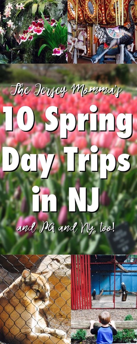 Day Trips In Nj, Jersey Day, Diy Suncatchers, Abandoned Homes, Abandoned Cities, Summer Stuff, Easy Handmade, Abandoned Castles, Abandoned Mansions