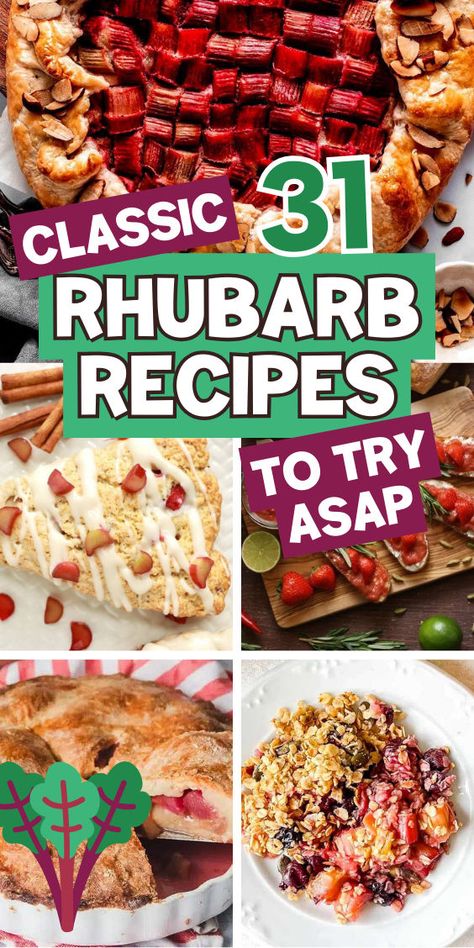 Rhubarb recipes for rhubarb season Sauce For Ice Cream, Rhubarb Custard Bars, Pickled Rhubarb, Rhubarb Scones, Rhubarb Bread, Rhubarb Bars, Freeze Rhubarb, Rhubarb Cobbler, Rhubarb Sauce