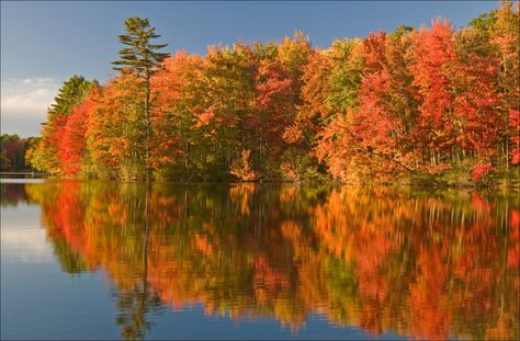 Photo from Oxford County, ME... Maine is a terrific destination for leaf peeping! Here's more info on how to access free Maine foliage updates, starting Sept. 12: http://visitingnewengland.com/blog-cheap-travel/?p=2988 Maine In The Fall, Algonquin Park, Colorful Places, New England Fall, Fall Travel, Indian Summer, Photo Tree, Colorful Leaves, Samoa