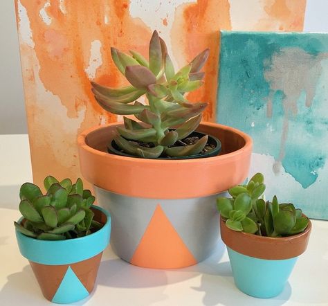 Planter Pots