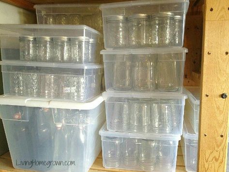 Canning Jar Storage Ideas, Homestead Canning, Canning Storage, Canning Jar Storage, Utility Room Organization, Canning Apples, Food Storage Rooms, Canning Kitchen, Canning 101