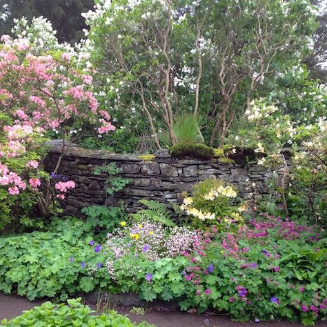 Beatrix Potter Garden Ideas, Beatrix Potter Garden, Mr Mcgregors Garden, Magical Cottage, Mr Mcgregor, Garden Perennials, Century Farmhouse, Landscape Gardening, Serene Garden