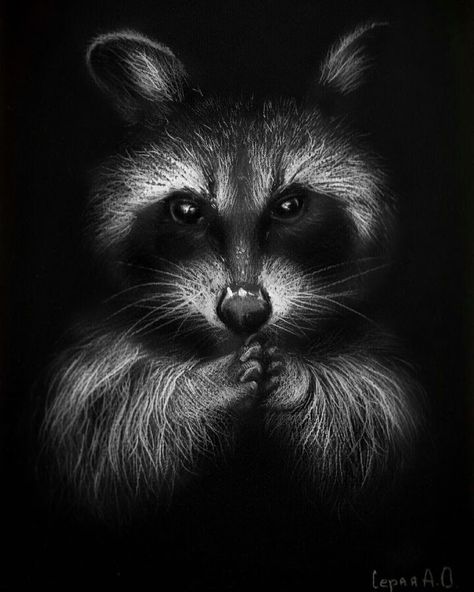 Graphite Drawings Ideas Inspiration, Art Black And White Drawings, White Pencil Drawing On Black Paper, Scratch Art Designs, Black Paper Drawings, Charcoal Animals, Drawings Black White, White On Black Drawing, Scratch Board Art