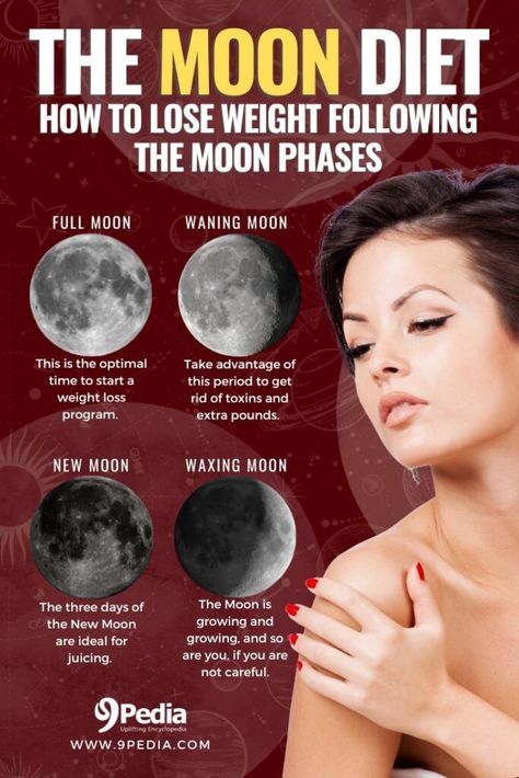 How To Lose Weight Following The Moon Phases – The Moon Diet #moondiet #moon #loseweight #howtoloseweight Moon Food, The Moon Phases, Lunar Moon, Moon Cycle, Fasting Diet, Vibrational Energy, Moon Cycles, Veggie Sides, Interesting Stuff