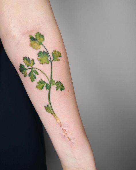 Asin Tattoo - My friend @linur_l loves coriander 💚 and I love her. | Facebook Coriander Tattoo, Cilantro Tattoo, Food Tattoos, I Love Her, Unique Tattoos, Inspirational Tattoos, Best Food, Leaf Tattoos, Flower Tattoos