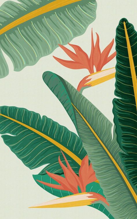 Kaktus Dan Sukulen, Vintage Tropical, Tropical Wallpaper, Plant Wallpaper, Banana Leaves, Mural Design, Tropical Theme, Centre Stage, Tropical Design