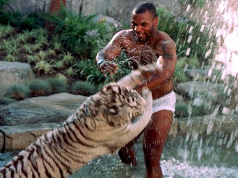 Mike Tyson, famous for his boxing prowess, once extended his larger-than-life persona to his personal life by owning pet tigers.… 

Read More: What Was Behind Mike Tyson’s Exotic Tiger Ownership and Its Risks? Hare Art, Wild Hare, Pet Tiger, Radio Personality, Mike Tyson, Exotic Pets, Record Producer, Record Label, Business Women