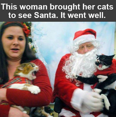 crazy cat lady,  bad Santa, bad idea Awkward Family Christmas, Funny Christmas Photos, Christmas Memes, Family Christmas Pictures, Visit Santa, Christmas Family Photos, Christmas Pictures, Crazy Cat Lady, Amelie