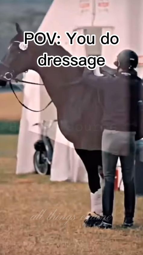 made by me: @all_things_equine Dressage Videos, Horse Video, Elegant Horse, Horse Videos, English Riding, Dressage Horses, All About Horses, Horse Life, Pretty Horses