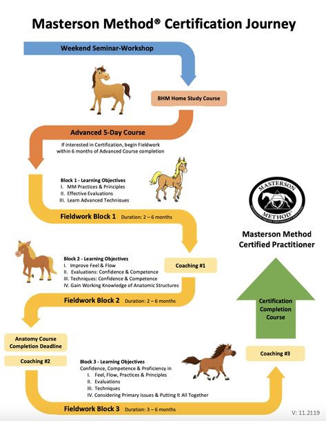 Masterson Method Certification Journey Infographic Masterson Method, Equine Bodywork, Journey Infographic, Equine Care, Study Course, Wild Heart, Learning Objectives, Horse Care, Massage Therapist