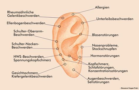 Meridianblockaden durch Piercings und ihre gesundheitlichen Auswirkungen - ☼ ✿ ☺ Informationen und Inspirationen für ein Bewusstes, Veganes und (F)rohes Leben ☺ ✿ ☼ Madonna Piercing, Back Of Neck Tattoo, Back Tattoos For Guys, Back Tattoo Women, Ear Candy, Back Tattoos, Helix Piercing, Tattoo Designs For Women, Cotton Ball