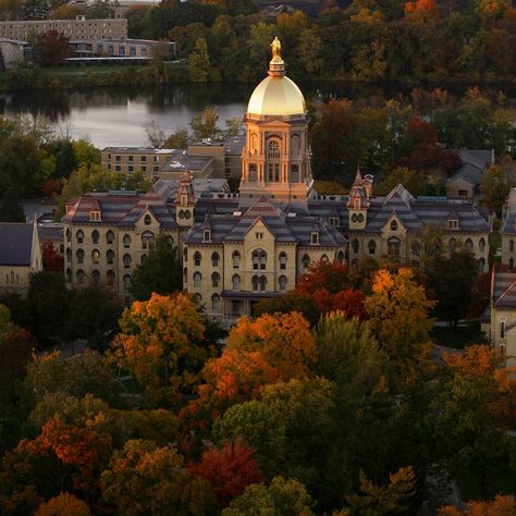 The+25+Most+Beautiful+College+Campuses+in+America University Of Notre Dame Aesthetic, Beautiful Universities, America University, Notre Dame Campus, Beautiful University, Notre Dame College, College Vibes, College Pictures, College Algebra