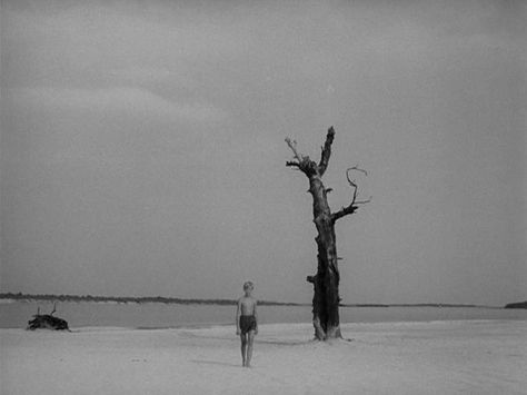 Andrei Tarkovsky, Dusk Sky, Out Magazine, Ingmar Bergman, Still Frame, Foreign Film, Movie Shots, Best Director, Film Grab