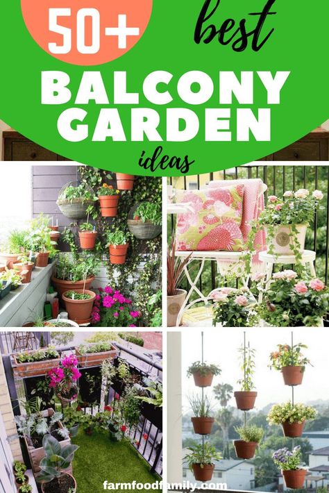 Some areas have specific building codes. You don’t want to break any rules and have to redo your balcony garden. The idea of a balcony garden is grand, but the reality of having your own private balcony garden is better.