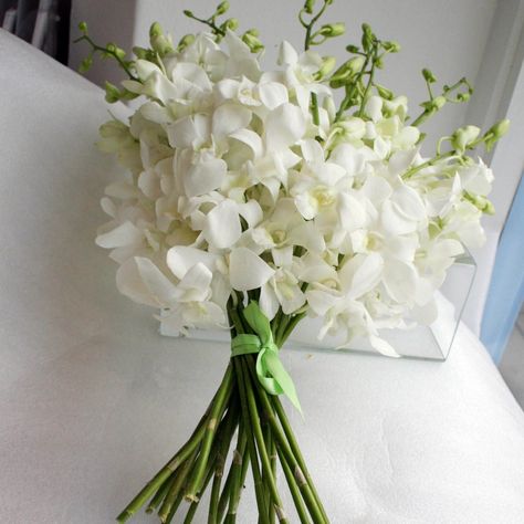 White Orchid Bouquet www.bridalgiftsandmore.com White Orchid Bouquet, Orchid Bridal Bouquets, White Dendrobium Orchids, Orchid Bouquet Wedding, Dendrobium Orchid, Orchid Bouquet, Dendrobium Orchids, Orchid Wedding, White Bridal Bouquet