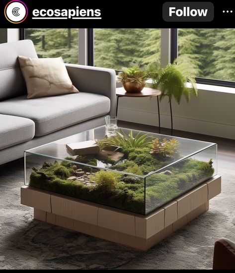 Terrarium Table, Baddie Apartment Ideas, Baddie Apartment, Aquarium Terrarium, Beautiful Terrariums, Japandi Design, Home Decor Aesthetic, Aesthetic Home Decor, Moss Terrarium