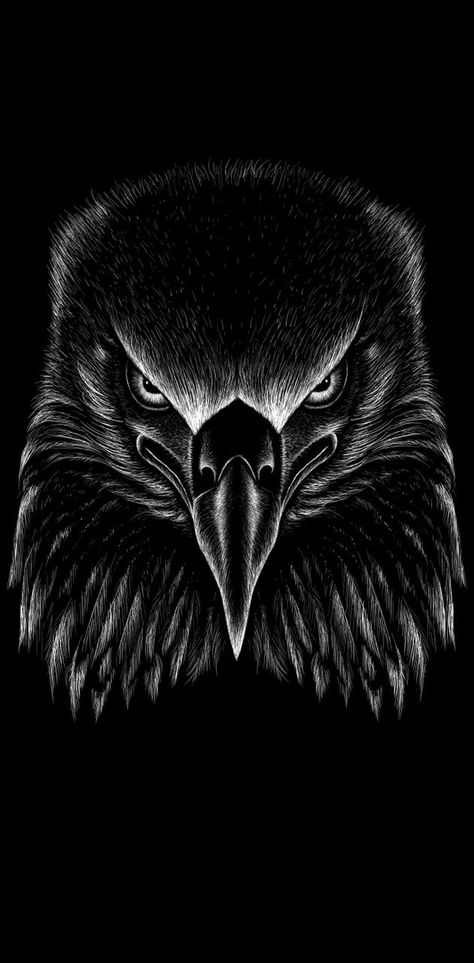 Eagle Background, Tattoo Tshirt, Eagle Artwork, Eagle Drawing, Eagle Images, Dragon Tattoo For Women, Eagle Wallpaper, Eagle Pictures, Eagle Tattoos