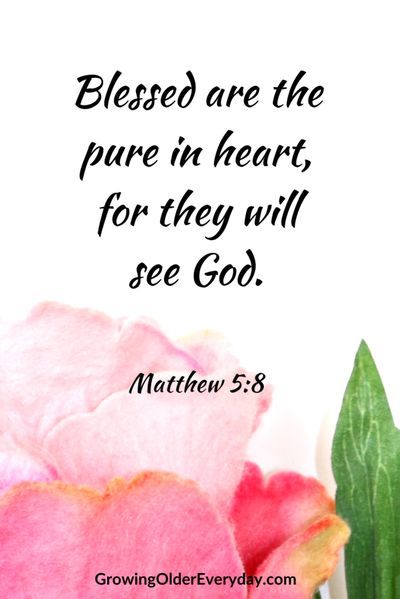 Blessed are the Pure in Heart Poor In Spirit, Matthew 5 4, Matthew 5 3, Jesus Kingdom, The Beatitudes, Pray Continually, The Kingdom Of Heaven, Growing Older, Matthew 5