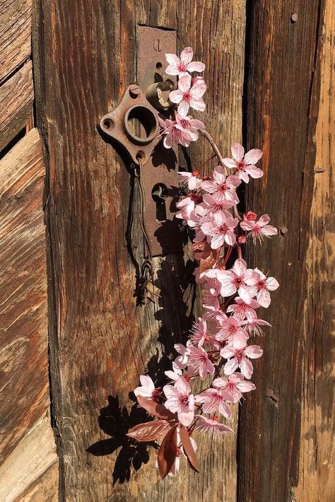 Rusty Pink, Door Aesthetic, Film Photography Tips, Luxury House Interior Design, Galaxy Pictures, Aesthetic Flower, Amazing Nature Photography, Dark Phone Wallpapers, Instagram Ideas Post