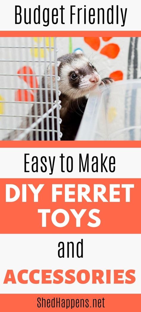 Diy Ferret Food, Diy Ferret Cage Accessories, Ferret Diy Toys, Ferret Care Tips, Ferret Toys Ideas, Ferret Cage Ideas Diy, Diy Rat Toys Homemade, Cute Ferret Cage Ideas, Ferret Room Ideas