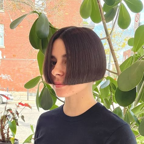 ✂️ @jessicahairstylist_freyja #bob #bobhair #bobhaircut #bobhaircuts #bobhairstyle #bobhairstyles #bobcut #undercut #nape #undercutbob… | Instagram Lip Length Bob, Very Short Bob Haircuts, Undercut Nape, Lob Bob, Mini Bob, Corte Chanel, Very Short Bob, One Length Bobs, Shaved Bob