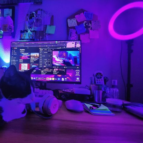 new streaming computer is here!!!!! join us for an elevated experience in the ev lounge :] 🎶🫧🧚‍♀️💿✨️ -- https://twitch.tv/elyzavybes Streaming Aesthetic, Artist Life, Twitch Tv, Join Us, Vision Board, Lounge, Computer, Tv