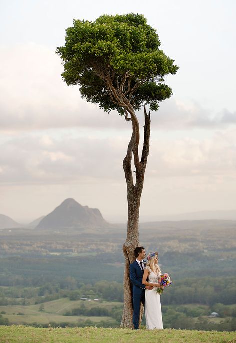 One Tree Hill is the most popular spot for a Sunshine Coast Hinterland Wedding Destination Wedding Cost, Wedding Venues In Virginia, Cheap Wedding Venues, Africa Destinations, Wedding Guest List, Cheap Wedding Invitations, Affordable Wedding Venues, Destination Wedding Venues, Tree Hill