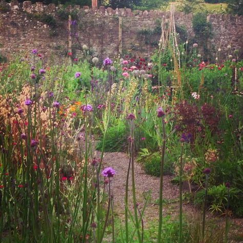 Sarah Price, Homestead Gardens, Minimalist Garden, Corner Garden, Modern Garden Design, Natural Garden, Green Roof, Modern Garden, Garden Wall