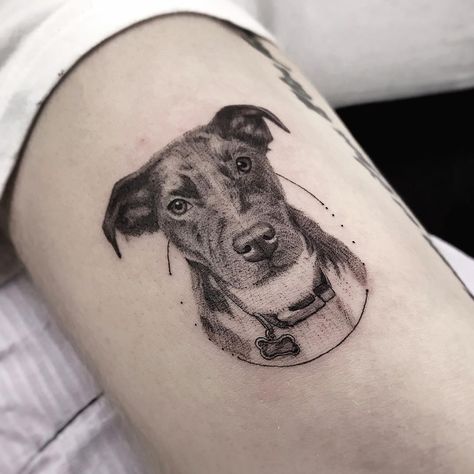 Micro dog portrait tattoo. Black and grey, detailed, single needle / fineline, microrealism tattoo. Pet Portrait Tattoos, Pet Tattoo Ideas, Dog Portrait Tattoo, Pet Tattoos, Small Dog Tattoos, Bone Tattoo, Portrait Tattoos, Tattoo Dog, Finger Tattoo For Women