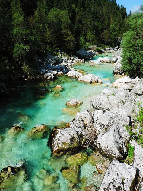 Soča Valley, Slovenia Soca Valley, European Bucket List, Julian Alps, Lake Bled, River Trail, Mountain Town, Magical Places, Macedonia, Walking In Nature