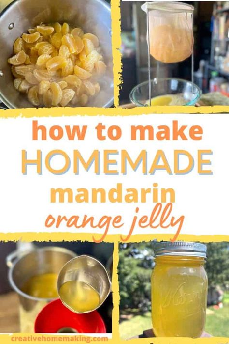 Canning Mandarins, Canning Mandarin Oranges, Orange Jelly Recipe, Water Bath Canning Recipes, Orange Jelly, How To Make Jelly, Canning Recipe, Homemade Jelly, Jelly Recipe