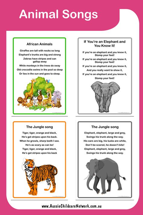 The Animal Songs Posters have songs about wild animals. These are great for children to learn about different animals. Wild Animal Songs For Preschool, Wild Animals Lesson Plan For Preschool, Wild Animals Theme Preschool, Wild Animals Theme Table Preschool, Zoo Animal Songs Preschool, Wild Animals Theme Preschool Activities, Animal Songs For Toddlers, Wild Animals Activities For Kids, Welcome Song For Preschool