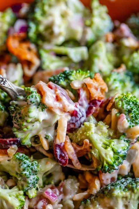 Easy Broccoli Bacon Salad from The Food Charlatan. Everyone needs a recipe for the best Broccoli Salad! This one is stuffed with bacon, cranberry, cheese, sunflower seeds, and tangy homemade dressing. It is easy to make and is a huge crowd pleaser. The perfect side dish to bring to your summer barbecue, or even to serve at Thanksgiving! #broccoli #salad #easy #recipe #thanksgiving #bbq #summer #easter #4thofJuly #healthy #bacon #dressing #creamy #cranberries #barbecue #sidedish Freestyle In Kitchen, Salads Recipes For Parties, Thanksgiving Broccoli, Thanksgiving Picnic, Broccoli Salad Recipe Easy, Broccoli Bacon Salad Recipe, Broccoli Bacon Salad, Broccoli Salads, Broccoli Salad With Bacon