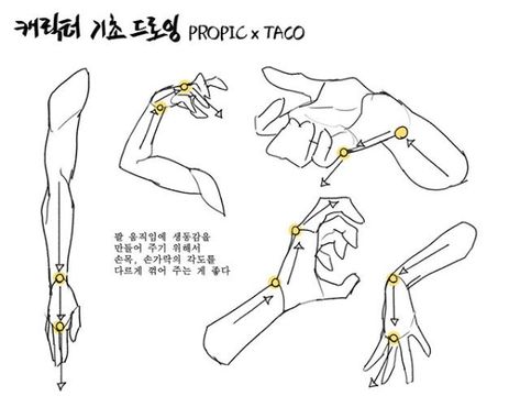 to give the arm some motion or life, it is effective to bend the fingers and/or the wrist in different angles. Taco Drawing, Draw Hands, Anatomy Tutorial, Human Anatomy Drawing, Hand Drawing Reference, Anatomy Sketches, Body Reference Drawing, Hand Reference, Body Anatomy