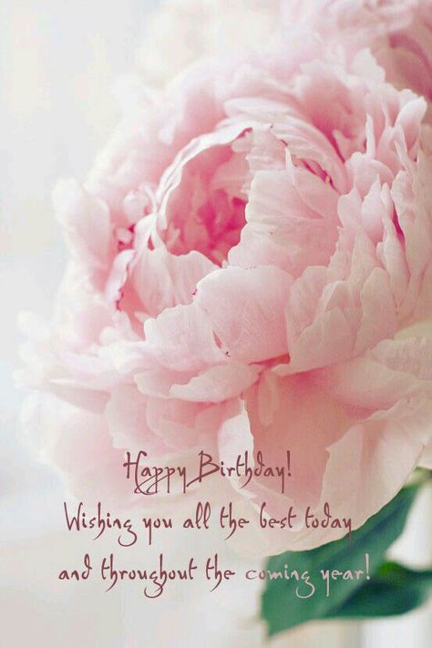 Wishing you a birthday blessed with Infinite Love, Joy, Beauty and FUN!!!! May happy smiles ever blaze your way in this next cycle around the Sun. Eternally One, One, Xoxo Grace <3<3 Pale Pink Peonies, Peonies And Hydrangeas, Tea Roses, Peony Flower, Pink Peonies, Love Flowers, Flower Wallpaper, My Flower, Pretty Flowers