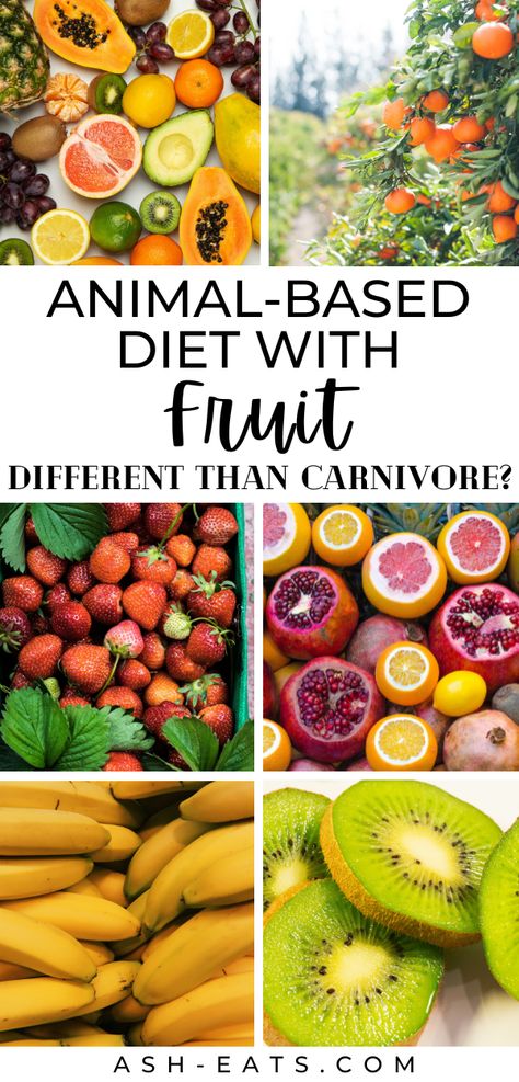 Have you heard about an animal-based diet with fruit? Wondering if it's different than carnivore? In this blog post, I discuss how an animal-based diet with fruit is different than carnivore. I also provide resources related to how to get started with an animal-based diet with fruit. #animalbaseddietwithfruit #carnivorediet Carnivore Diet With Fruit And Veggies, Animal Based Diet With Fruit, Carnivore Diet Fruit, Meat And Fruit Diet Recipes, Carnivore Diet Veggies, Animal Based Carnivore, Carnivore Diet With Fruit, Carnivore And Fruit Diet, Meat And Fruit Diet Plan