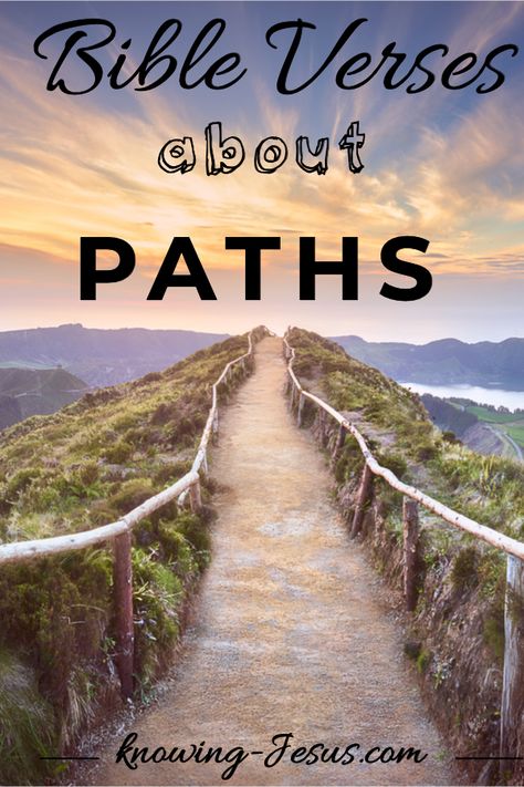 Find out what the Bible has to say about paths God's Direction Quotes Paths, God Path Quotes, Quotes About Paths In Life, Gods Path Quotes, Cross Paths Quotes, Quotes About Paths, Bible Meaning, Path Quotes, Guidance Quotes